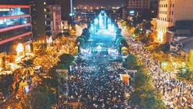 Dozens of international and local DJs will perform at the Ravolution Music Festival 2019 in District 2, HCM City on May 25. (Photo: loopcentral.net)