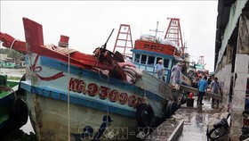More drastic measures needed to erase yellow card on fisheries: Deputy PM