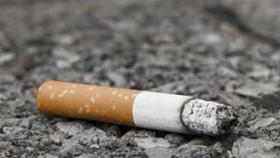 Resident to face fine for littering streets with cigarette butts
