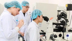 Research students are carrying out their studies in the International University – member of the Vietnam National University HCMC