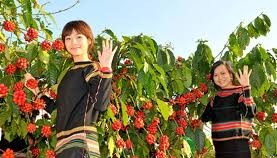 (Illustrative photo:SGGP)