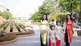 Sunshine covers Southern region during Tet Holiday