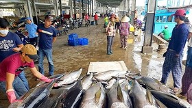 Seafood export targets turnover of US$ 10 billion