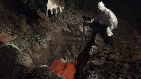 Pigs with African swine fever culled (Source: kinhtedothi.vn)