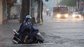Central Highlands and Southern regions suffer heavy downpours