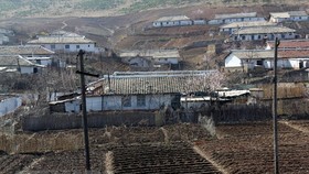 Drought strikes a DPRK province. (Source: AFP/VNA)
