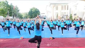 A mass yoga performance at the 2018 International Day of Yoga in Tien Giang province (Photo: VNA)