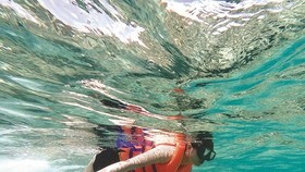 Tourists experience diving and seeing coral at Dam Trau beach.