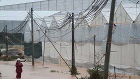 More than 1,350 houses inundated due to tropical downpours