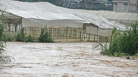 Da Lat braces for historical record-breaking rainfall several day