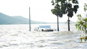 Currently, the upstream flood water level on the Mekong River is rising rapidly over alarm level 1.