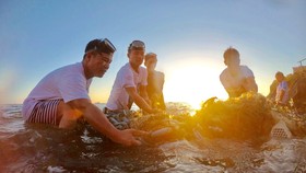 Lặn vớt rác dưới đáy biển Lý Sơn, tỉnh Quảng Ngãi