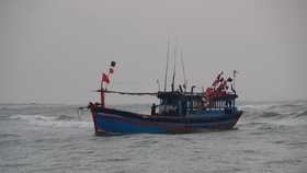 Tàu cá Lý Sơn cứu vớt 32 ngư dân nước ngoài gặp nạn trên biển