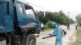 Tiêu hủy 2.055 con heo, dịch tả heo Châu Phi lây lan 8 huyện, thành phố Quảng Ngãi