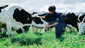 Việt Nam có hệ thống trang trại đầu tiên đạt chuẩn Global G.A.P.