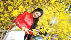 Rộn ràng sắc xuân