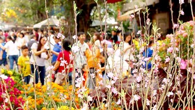 Nâng cao dân trí để hạn chế hiện tượng dâng sao giải hạn (trong ảnh: Người dân đến chùa lễ Phật trong không khí thành kính, trang nghiêm. Ảnh: MINH THANH