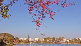 Giữ cho Đà Lạt đẹp và thơ