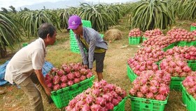 Kim ngạch thương mại Việt Nam - Trung Quốc đạt 106 tỷ USD