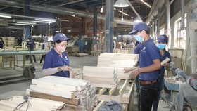 Triển vọng ngành gỗ Đông Nam bộ