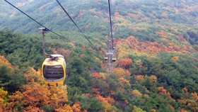Núi Palgongsan, ở thành phố Daegu. Ảnh: KTO