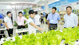 TPHCM xúc tiến các chương trình hàng Việt quy mô lớn