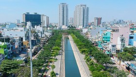 Cây xanh trên kênh Hàng Bàng (quận 5 và 6),TPHCM. Ảnh: CAO THĂNG 