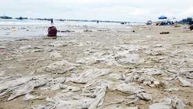 Ô nhiễm nghiêm trọng ở bãi Sau biển Mũi Né