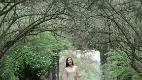 Sao Hàn Quốc tham gia quảng bá văn hóa Việt