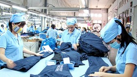 Nhiều người lao động “cả ngày không nhìn thấy ánh mặt trời”