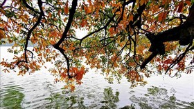 Gió mát sắp ùa về miền Bắc