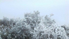 Bitter cold visits Nothern Vietnam
