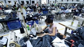 CPTPP will open new opportunities for trade and create more motivation for Vietnam to reform its economic institutions and business environment. (Photo: VNA/VNS)