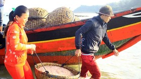 Quang Ngai fishermen enjoys bumper tiny shrimp catch yearend
