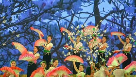 An art performance at the Hoa Ban Festival 2018 held in Điện Biên Province. — (Photo: baodienbienphu.info.vn)