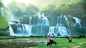 Ban Gioc waterfall in Cao Bang (Source: SGGP)