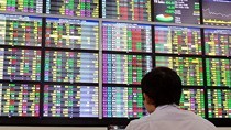 Stocks, gold, dollar on increase
