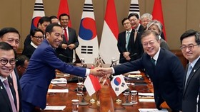 RoK President Moon Jae-in (right) and his Indonesian counterpart Joko Widodo (Source: Yonhap)
