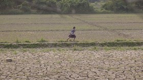 A girl runs through deserted farmland in Myanmar's Sagaing region where floods buried valuable fertile soil under several feet of mud which later dried hard and cracked, making land preparations very difficult and expensive (Photo: news.un.org)