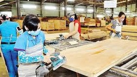 US remains Dong Nai Province’s largest export market