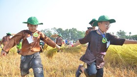 Hundreds of little farmers harvest rice in Quang Ngai province
