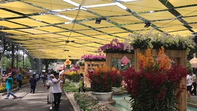 The first Orchid Festival opens in HCMC on April 27 (Photo: SGGP)