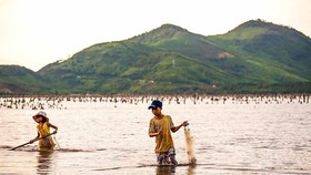 Catching fish with fishing net in Tam Giang lagoon (Photo: SGGP)