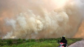 A forest fire in Ogan Ilir regency of South Sumatra province, Indonesia, on August 5 (Photo: Xinhua/VNA)