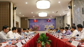 At the conference (Photo: VNA)