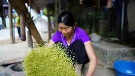After being brayed, residents winnow grits from Com