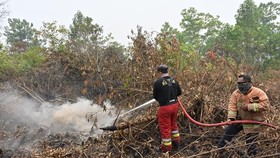 Firemen try to extinguish a fire in Kampar regency of Indonesia's Riau province, on September 13 (Photo: AFP/VNA)