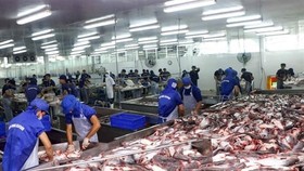 Tra fish is processed for export at Bien Dong Seafood Co Ltd in Tra Noc II Industrial Zone in the southern city of Can Tho.(Photo: VNA)
