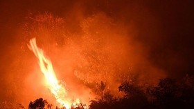 Forest fire in Riau province of Indonesia (Photo: AFP)