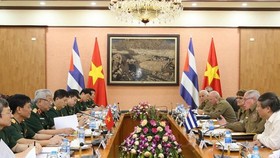 An overview of the dialogue (Photo: VNA)